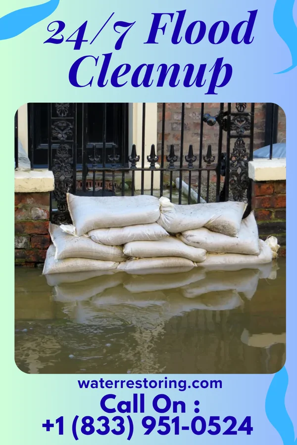 24/7 Flood Cleanup in Sturgis, MI