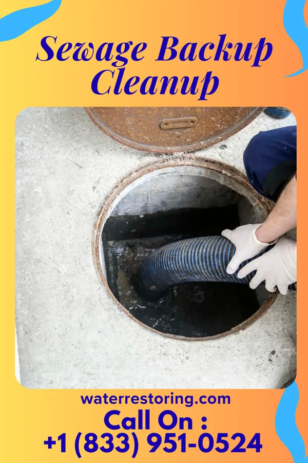 Sewage Backup Cleanup in Sturgis, MI